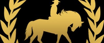 Custom designed logos and brand identities